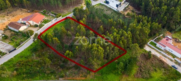 2105m² Land in Leiria, Portugal No. 90356 21