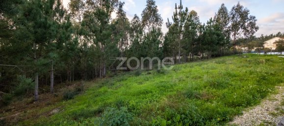 2105m² Land in Leiria, Portugal No. 90356 3