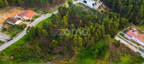 2105m² Land in Leiria, Portugal No. 90356 22