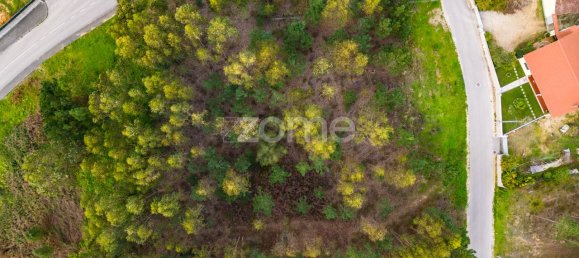 2105m² Land in Leiria, Portugal No. 90356 16