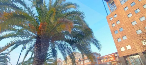 4 rooms Apartment in Pescara, Italy No. 22378 10