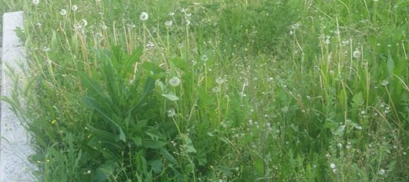 Casa de 6 habitaciónes en Carpi, Italy No. 136927 18