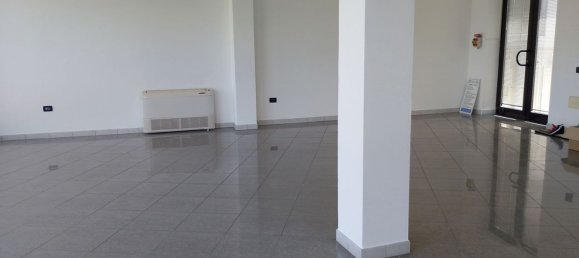 Gewerbliche Immobilie in Rovigo, Italy 160m², Nr. 333310 2