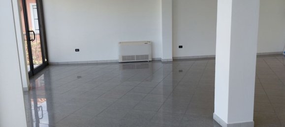 Gewerbliche Immobilie in Rovigo, Italy 160m², Nr. 333310 3