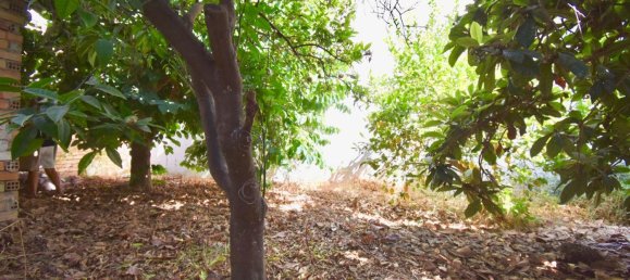 قطعة أرض في Mijas, Spain 126متر مربع رقم 64112 3