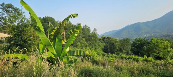 3 bedrooms Villa in Cumiana, Italy No. 381151 7