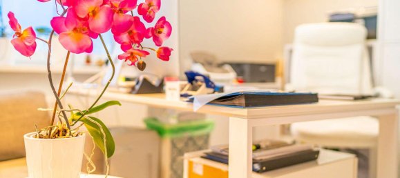 3218m² Warehouse in Potsdam-Mittelmark, Germany No. 84050 20