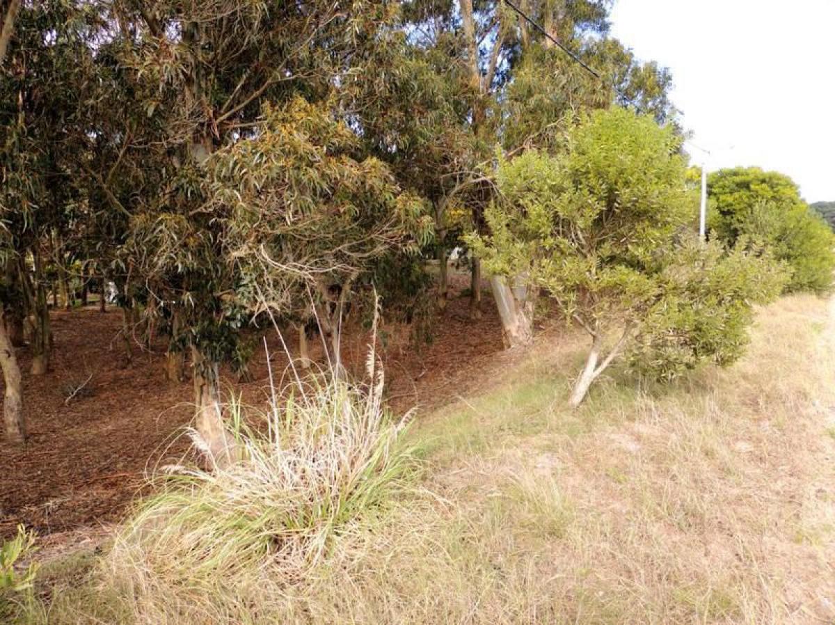  Land in Mar del Plata, Argentina No. 121805