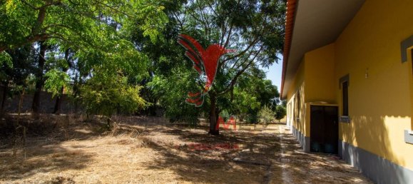 6 bedrooms House in Palmela, Portugal No. 124732 13