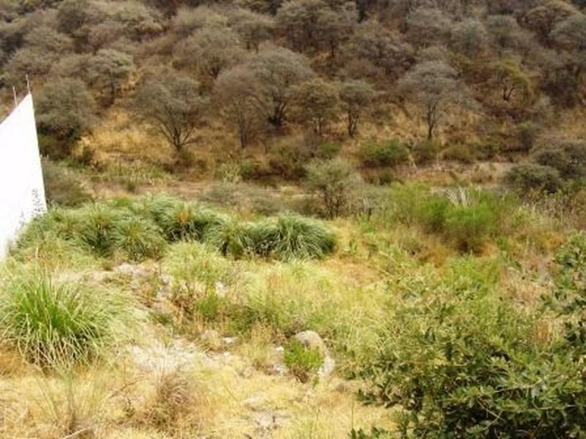 Terreno en Ciudad López Mateos, Mexico No. 204024