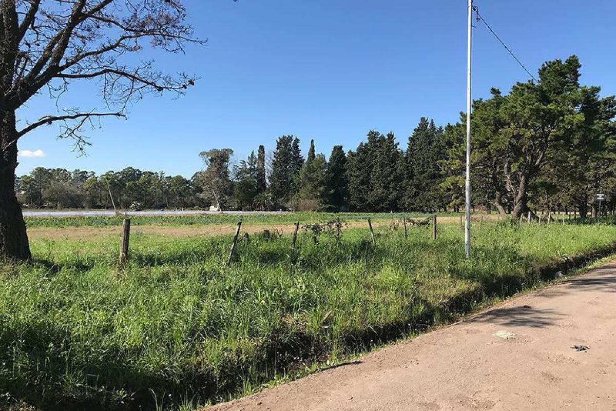 3 chambres Maison à Pilar, Argentina No. 2319