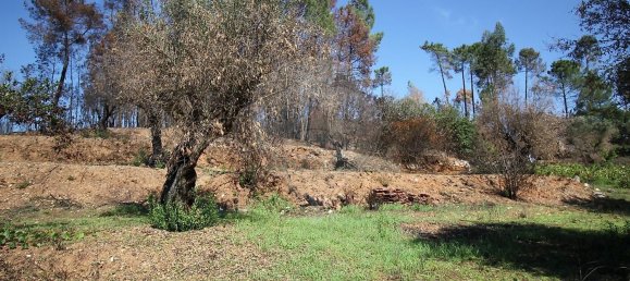 2 bedrooms House in Pousaflores, Portugal No. 28453 8