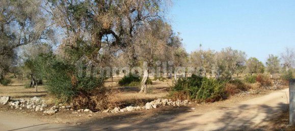 10100m² Land in Galatone, Italy No. 153312 3