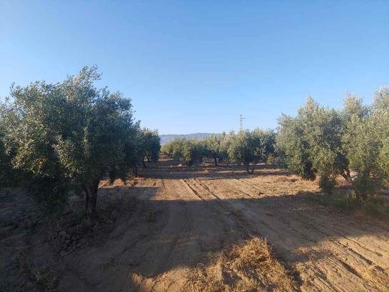 5700m² Land in Almeria, Spain No. 162000