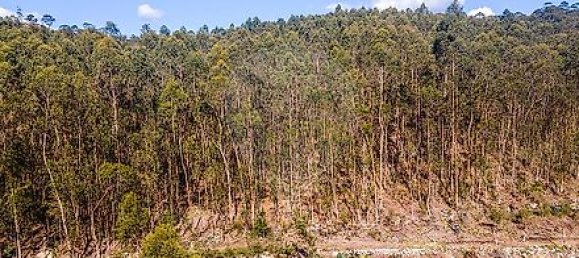  قطعة أرض في Barcelos, Portugal رقم 10152 6