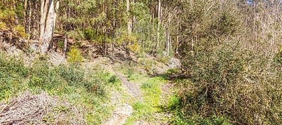  قطعة أرض في Barcelos, Portugal رقم 10152 5