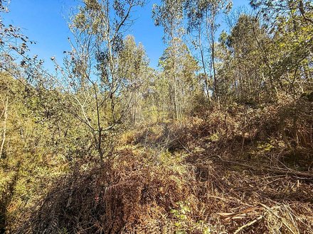  قطعة أرض في Barcelos, Portugal رقم 10152