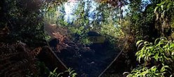 Земельный участок 8140м² в Брага, Португалия № 32143 3