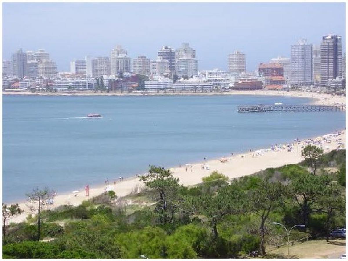 2 bedrooms Apartment in Maldonado, Uruguay No. 8270