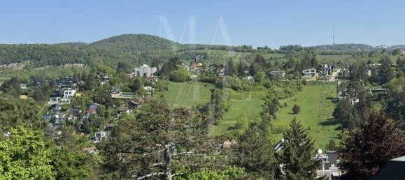 Ático de 4 habitaciónes en Dobling, Austria No. 247009 9