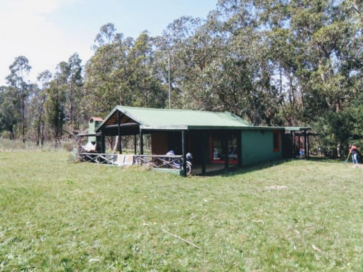 Ferme à Maldonado, Uruguay No. 15916