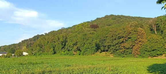 910m² Land in St. Andra-Wordern, Austria No. 230863 6