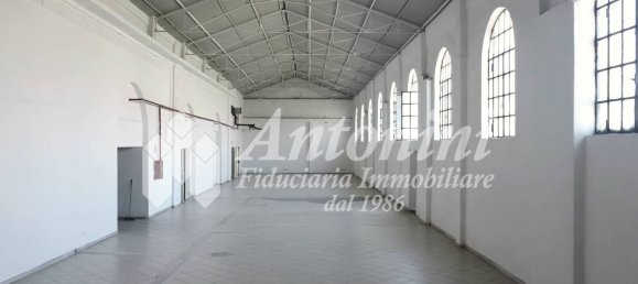 5غرفة مستودع في Rome, Italy رقم 336805 41