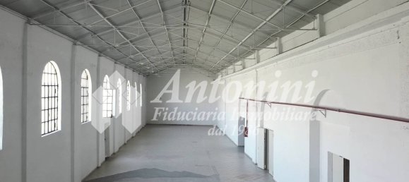 5غرفة مستودع في Rome, Italy رقم 336805 38