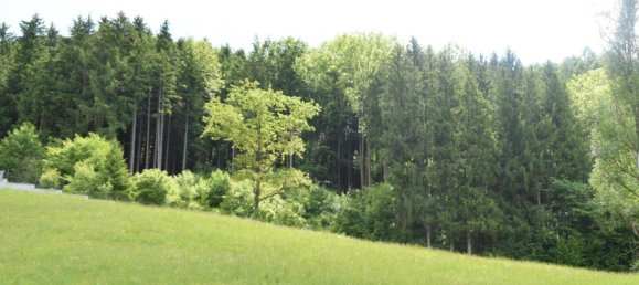  Land in Waidhofen an der Ybbs, Austria No. 165572 4