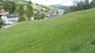  Land in Waidhofen an der Ybbs, Austria No. 165572