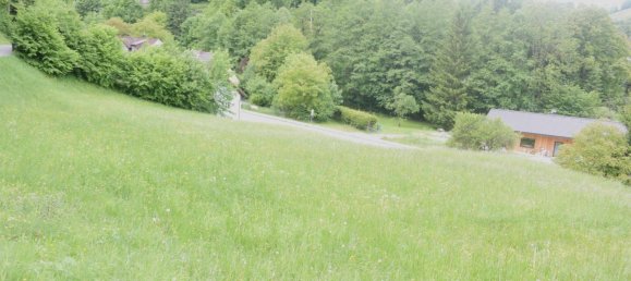  Land in Waidhofen an der Ybbs, Austria No. 165572 5