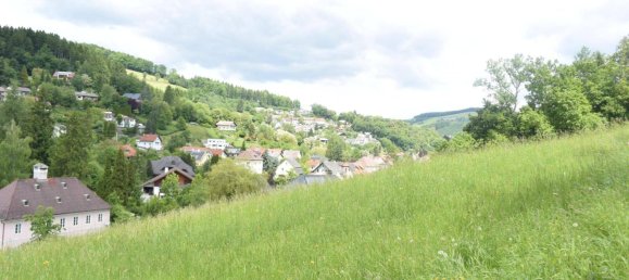  Land in Waidhofen an der Ybbs, Austria No. 165572 3