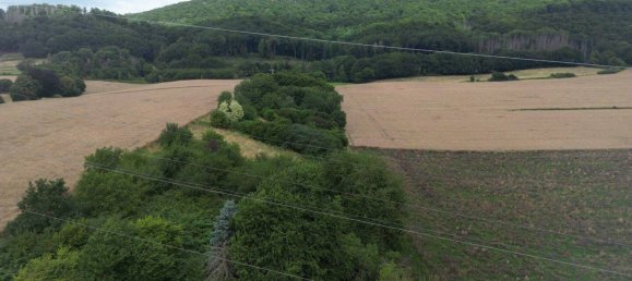  قطعة أرض في Schaumburg, Germany رقم 367405 11