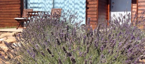  Hotel in Cela, Portugal No. 1979 7