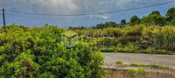 148m² Land in Santarem, Portugal No. 12659 25