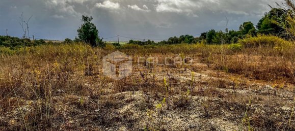 148m² Land in Santarem, Portugal No. 12659 4