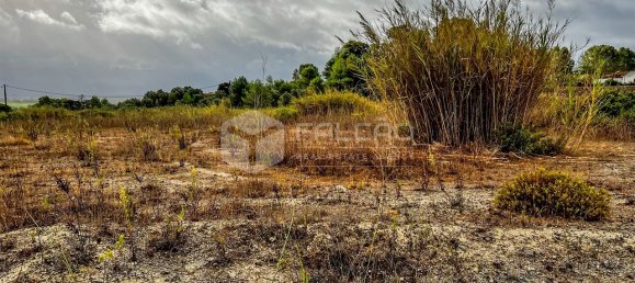 148m² Land in Santarem, Portugal No. 12659 7
