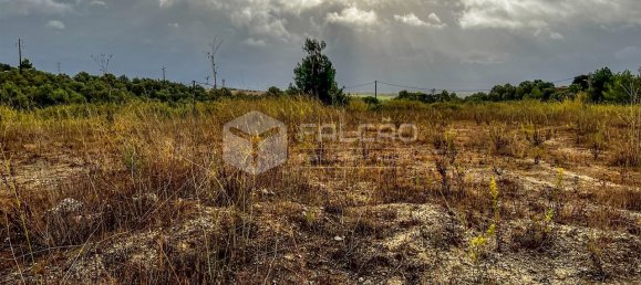 148m² Land in Santarem, Portugal No. 12659 6