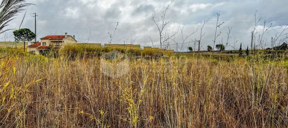 148m² Land in Santarem, Portugal No. 12659 49