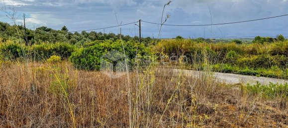 148m² Land in Santarem, Portugal No. 12659 50