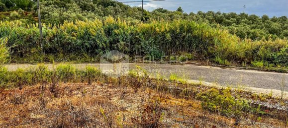 148m² Land in Santarem, Portugal No. 12659 21