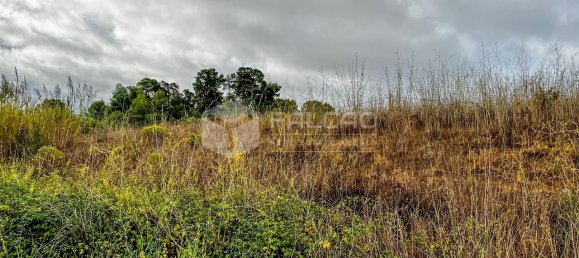 148m² Land in Santarem, Portugal No. 12659 2