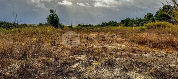 148m² Land in Santarem, Portugal No. 12659 38