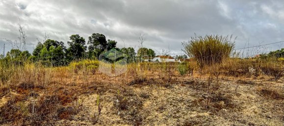 148m² Land in Santarem, Portugal No. 12659 3