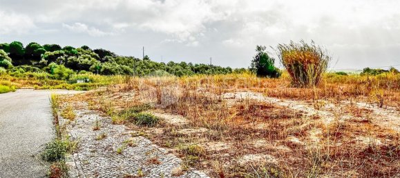148m² Land in Santarem, Portugal No. 12659 31