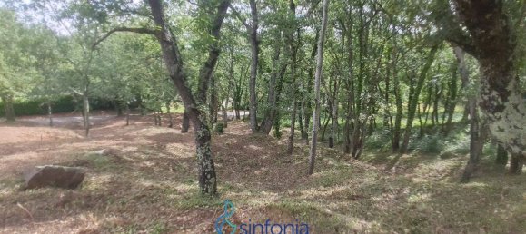 Земельный участок 1500м² в Пуньядорес, Франция № 100027 3