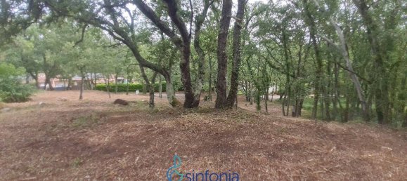 Земельный участок 1500м² в Пуньядорес, Франция № 100027 2