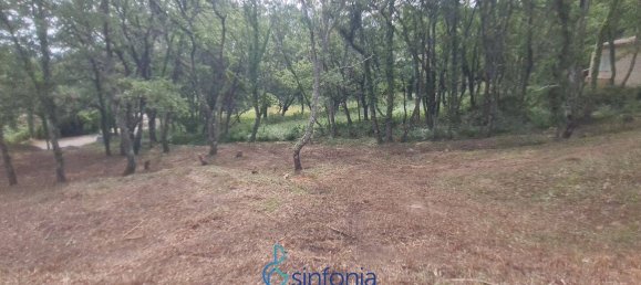 Земельный участок 1500м² в Пуньядорес, Франция № 100027 6