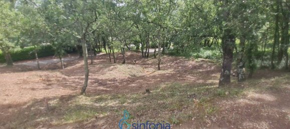 Земельный участок 1500м² в Пуньядорес, Франция № 100027 5