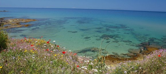 227000m² Land in Castelsardo, Italy No. 47105 5